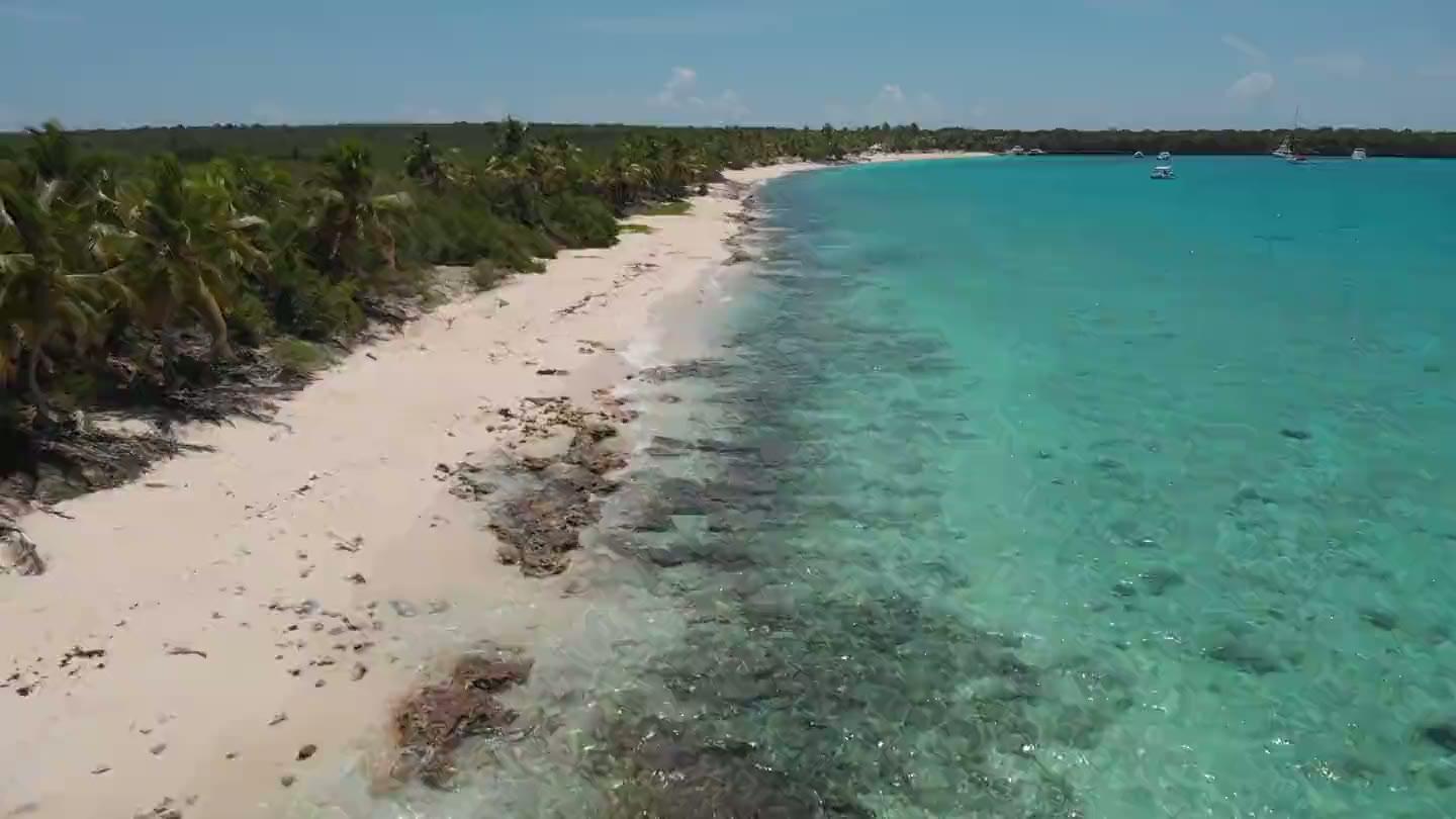 Aerial view of a palm-lined Caribbean beach with turquoise water